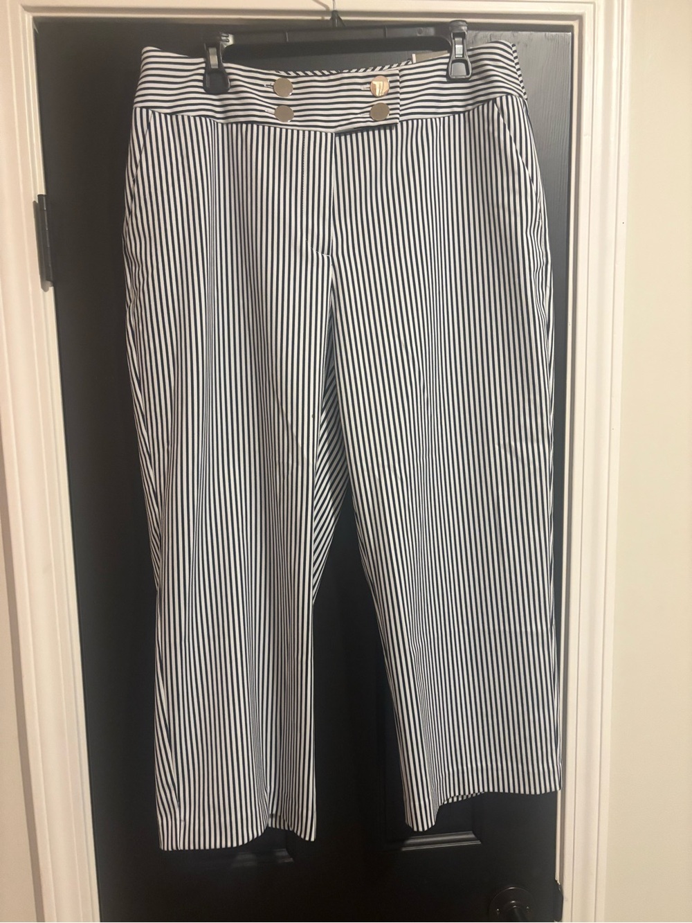 Striped Wide-Leg Pants in Navy and White Chicos size 2
